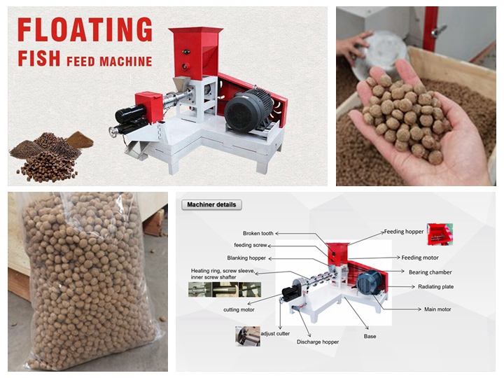 dry type Crappie feed pelletizer machine in South Korea